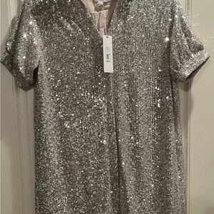 Sequin Champagne Dress by Every